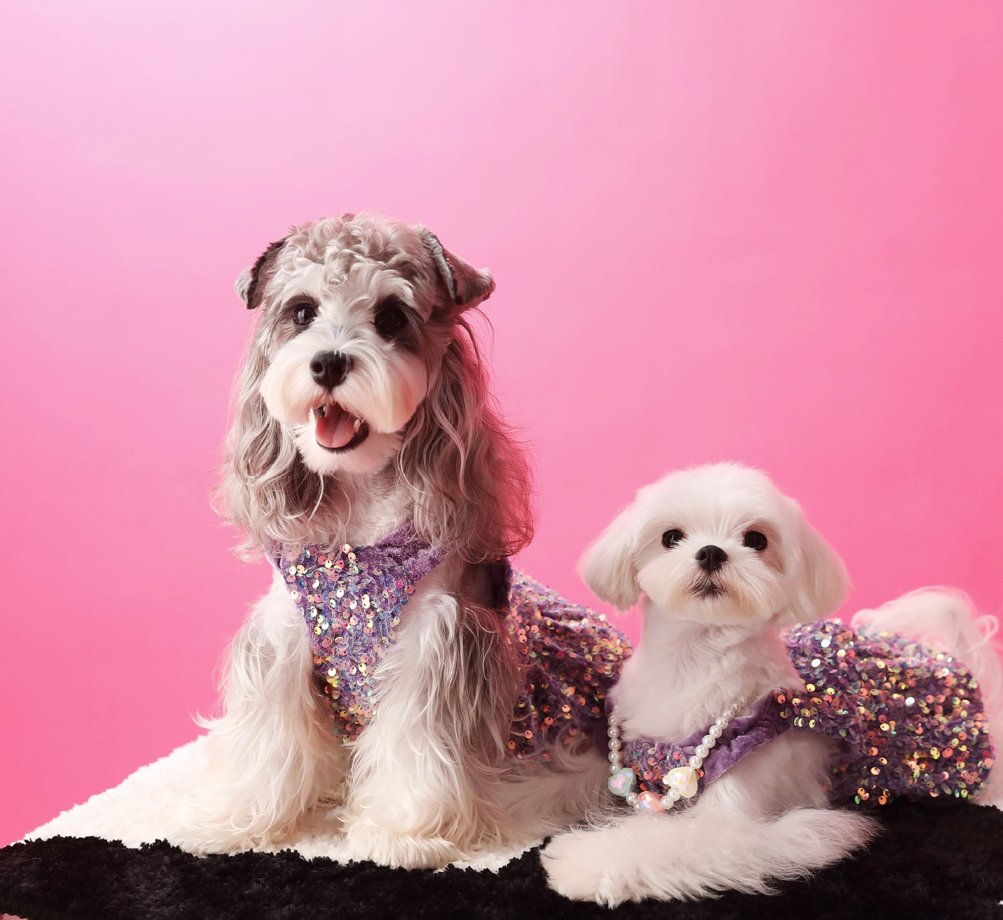 Fancy Sequins Dress