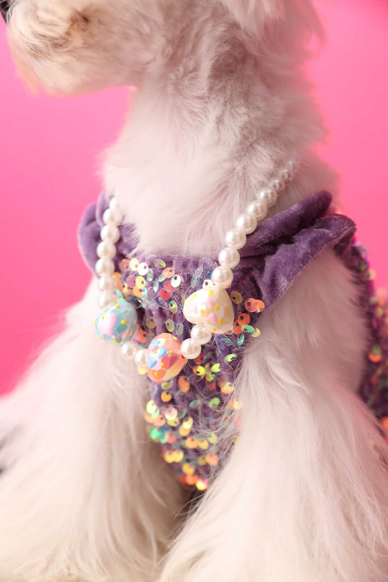 Fancy Sequins Dress