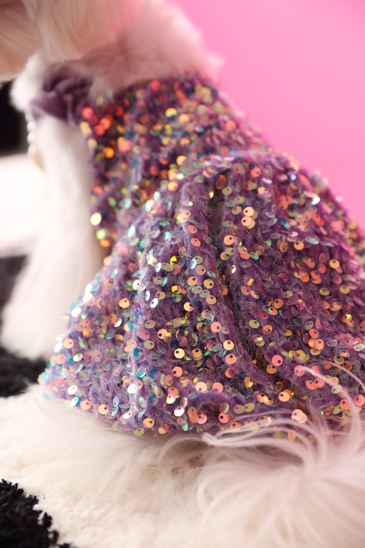 Fancy Sequins Dress