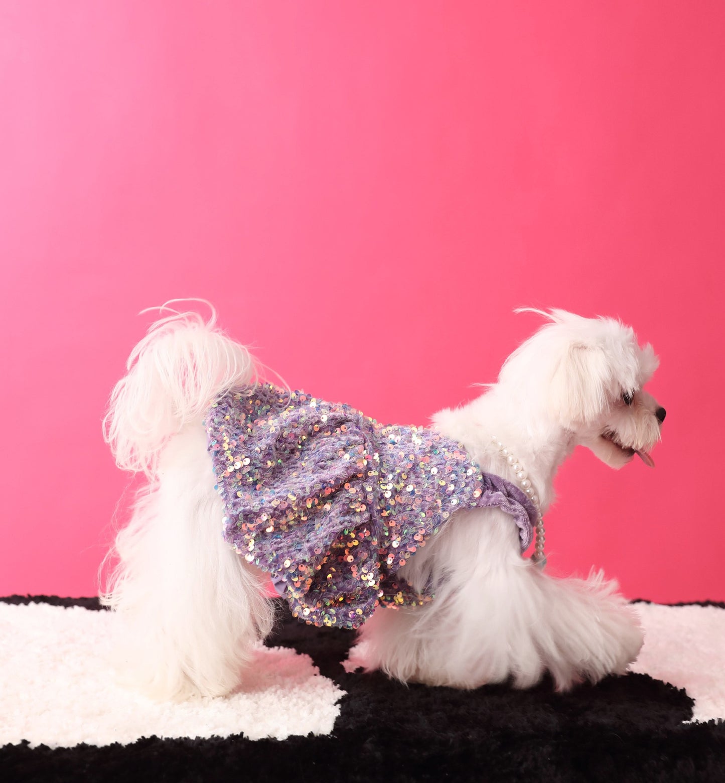 Fancy Sequins Dress