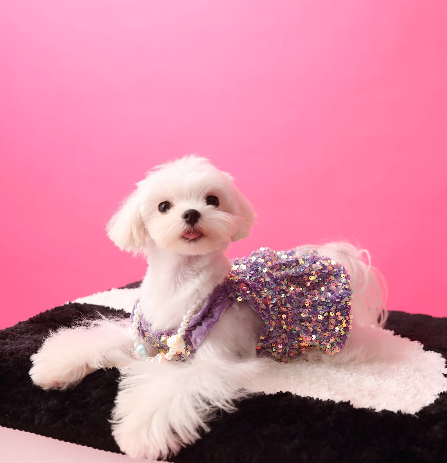 Fancy Sequins Dress