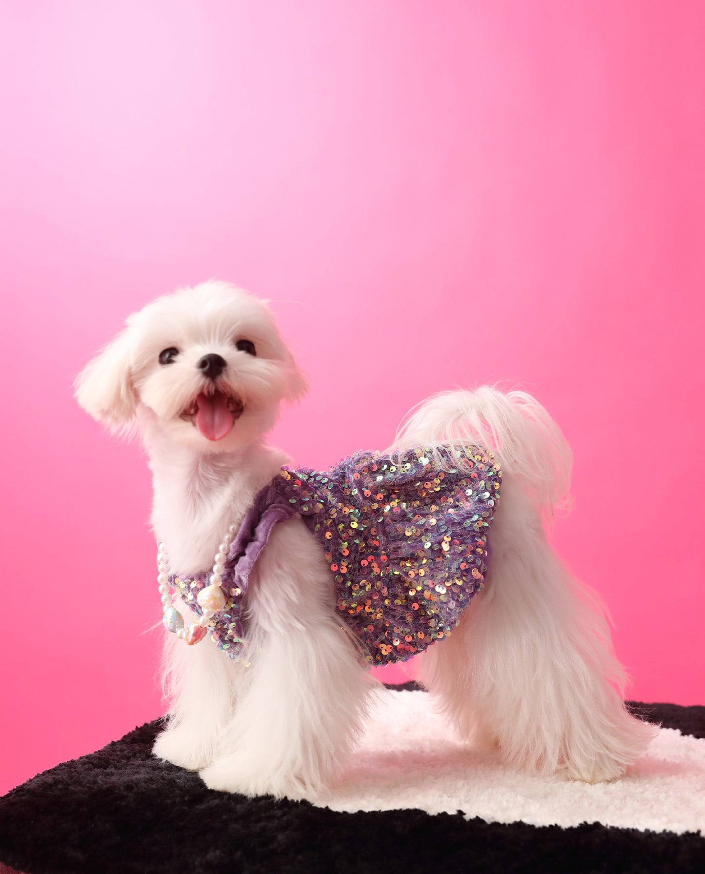 Fancy Sequins Dress