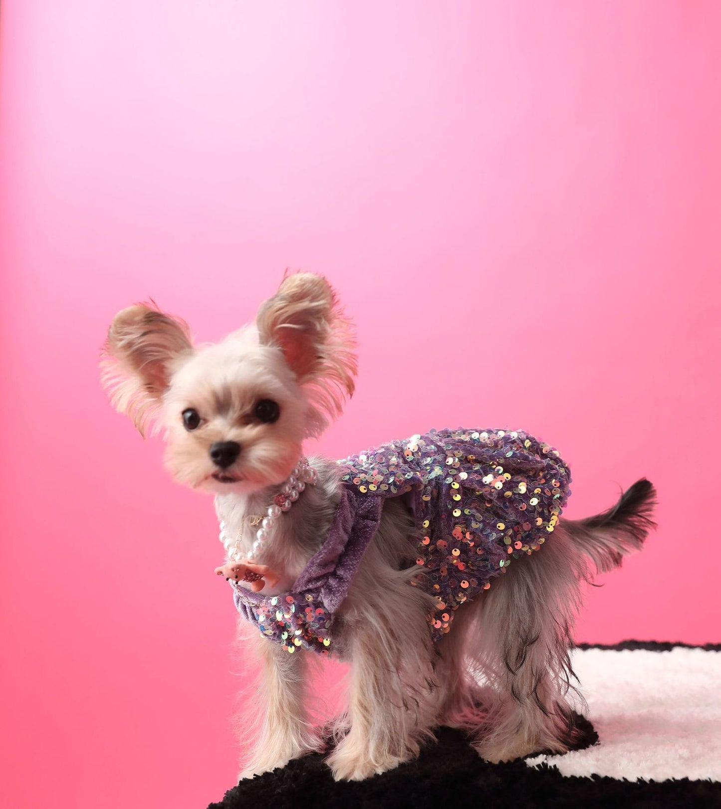 Fancy Sequins Dress
