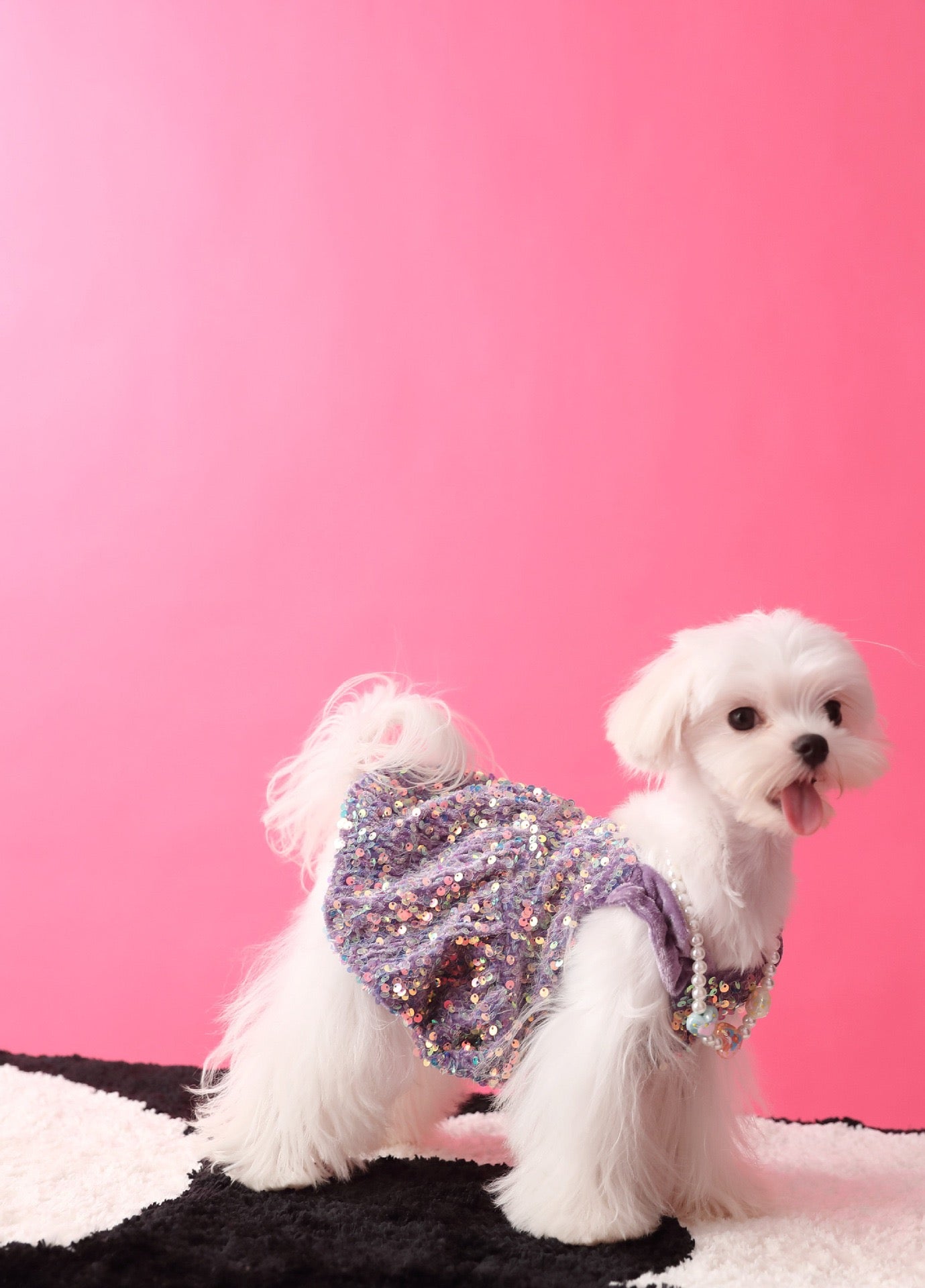Fancy Sequins Dress