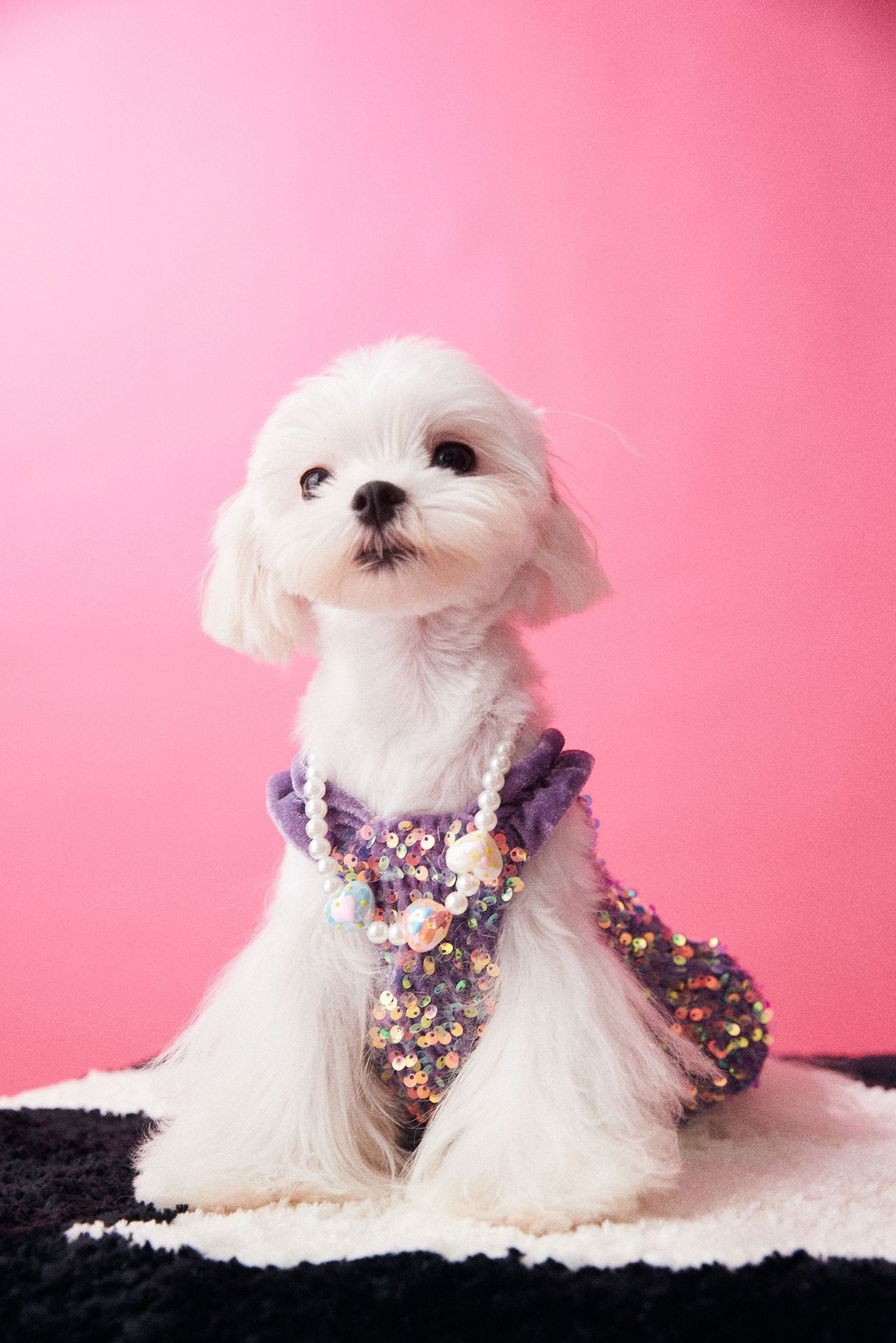 Fancy Sequins Dress