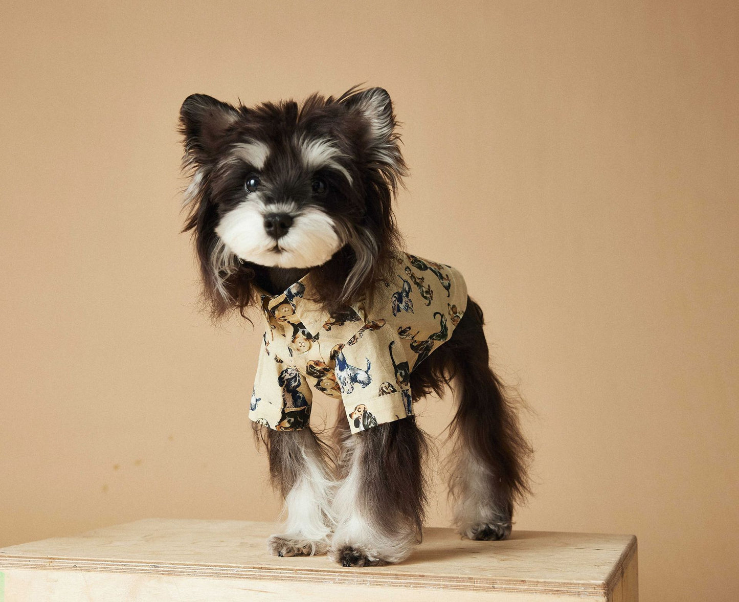 Dress Shirt with Print