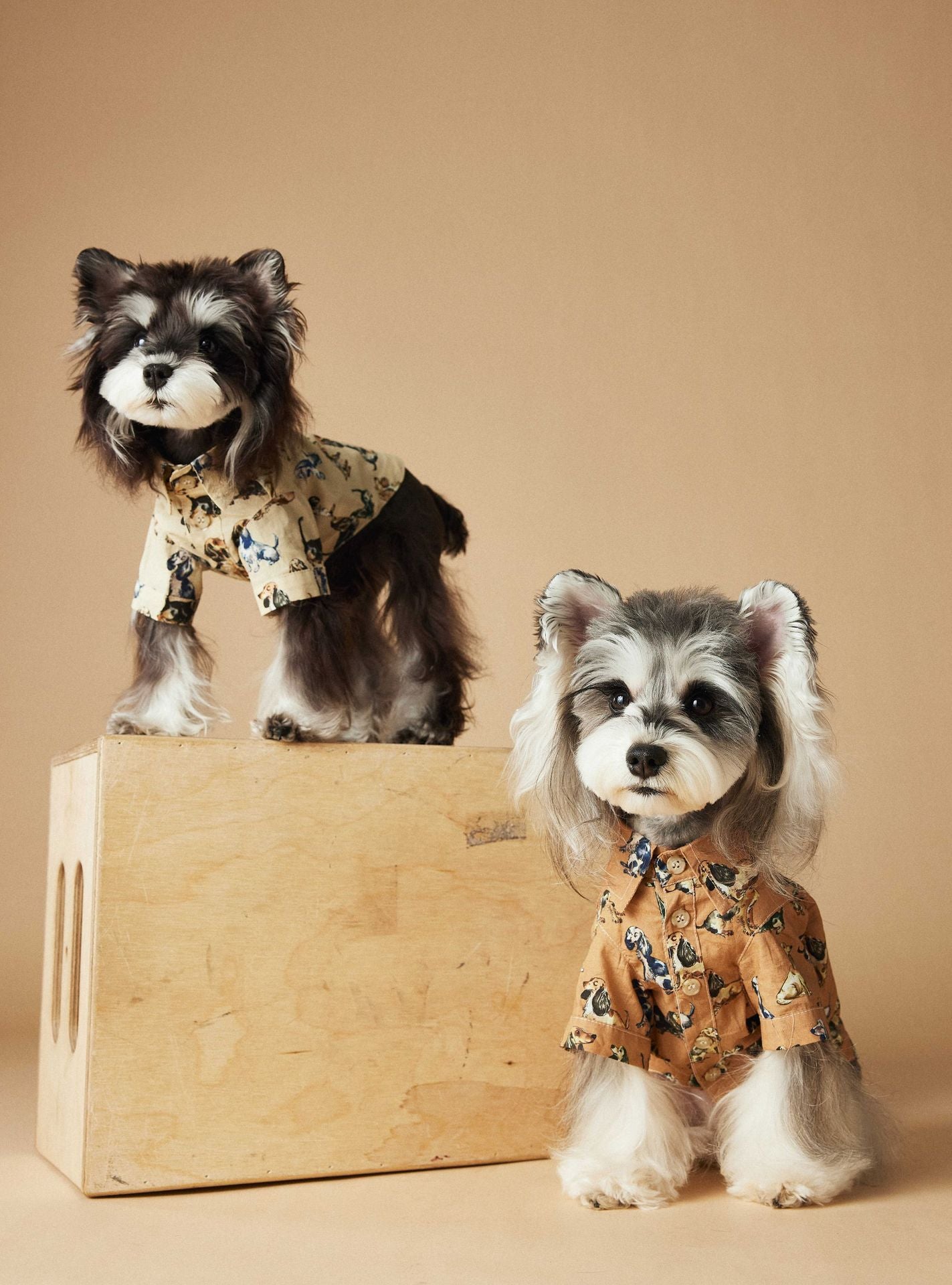 Dress Shirt with Print