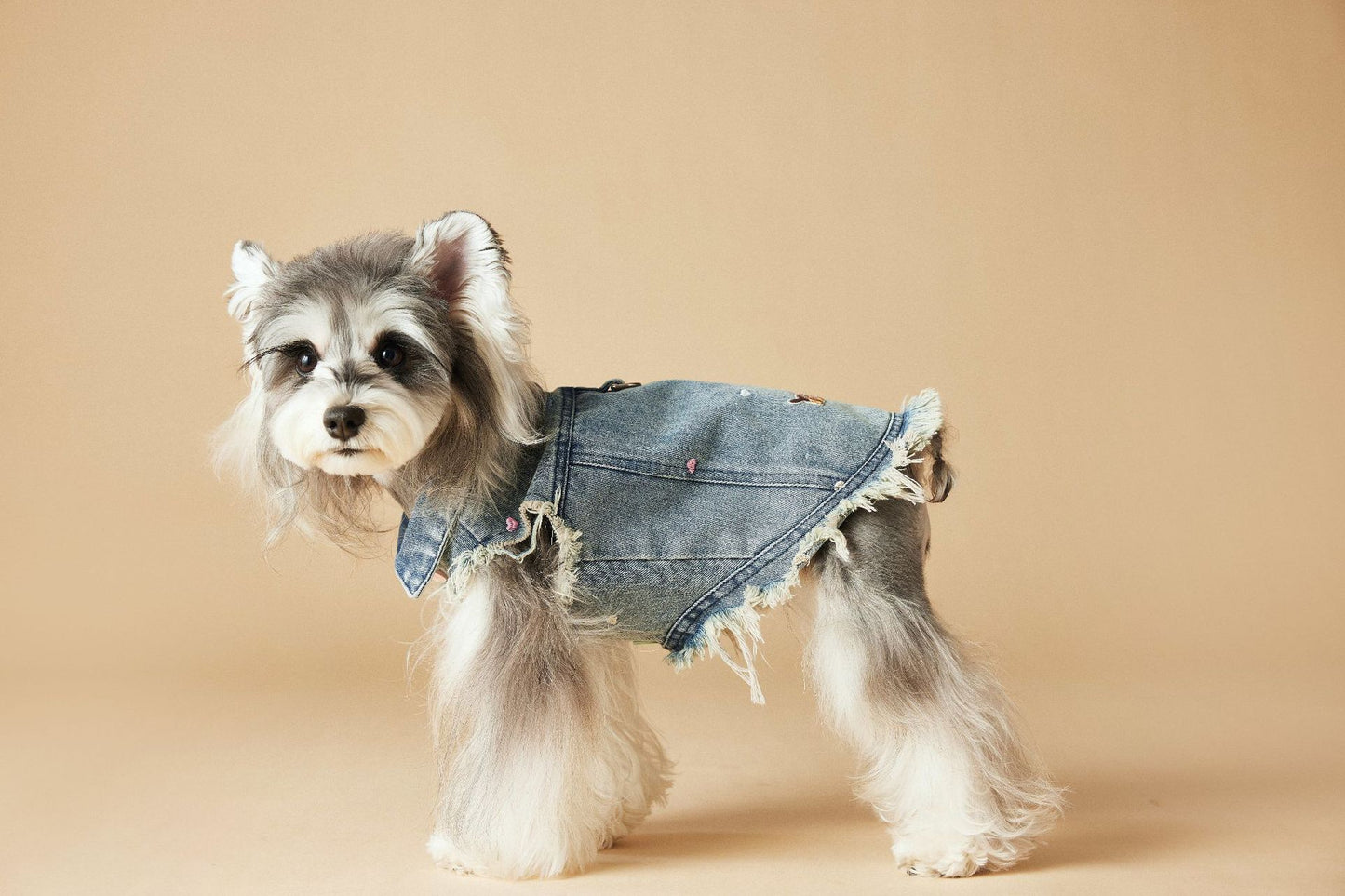 Pet Sleeveless Denim Jacket with D ring