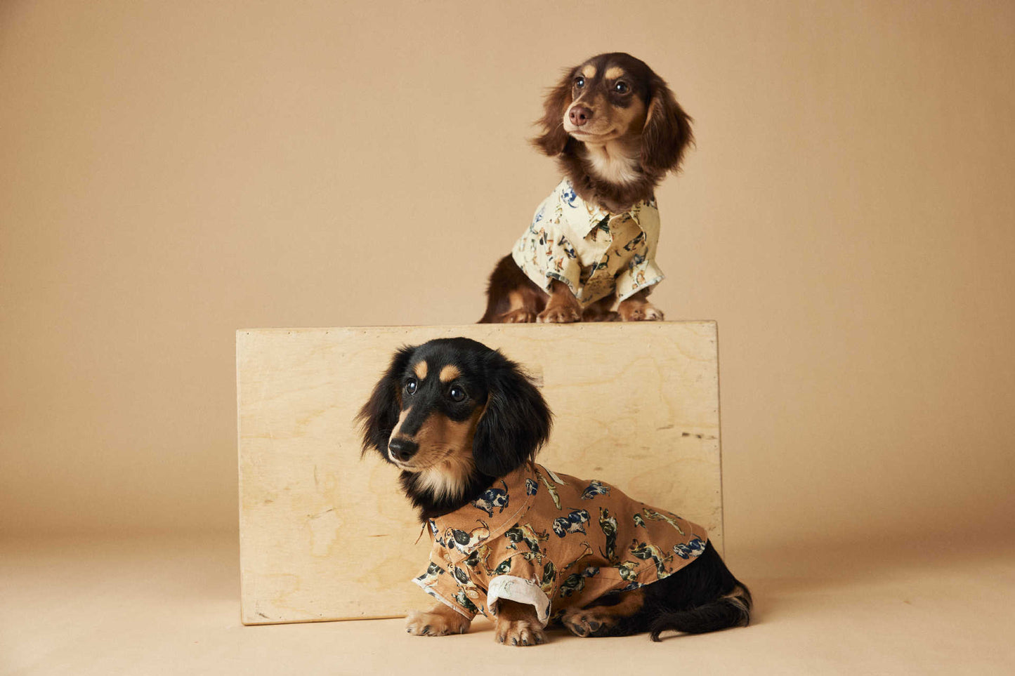 Dress Shirt with Print
