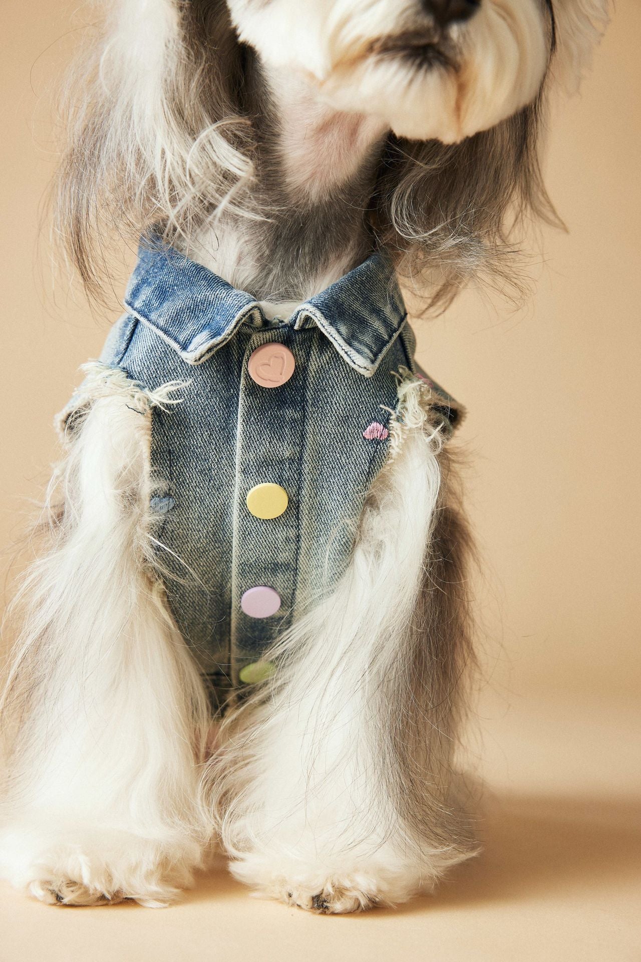 Pet Sleeveless Denim Jacket with D ring
