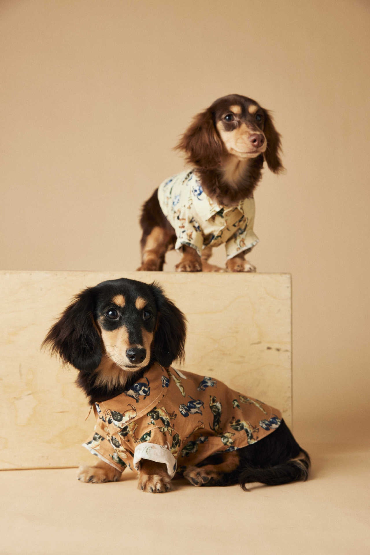 Dress Shirt with Print