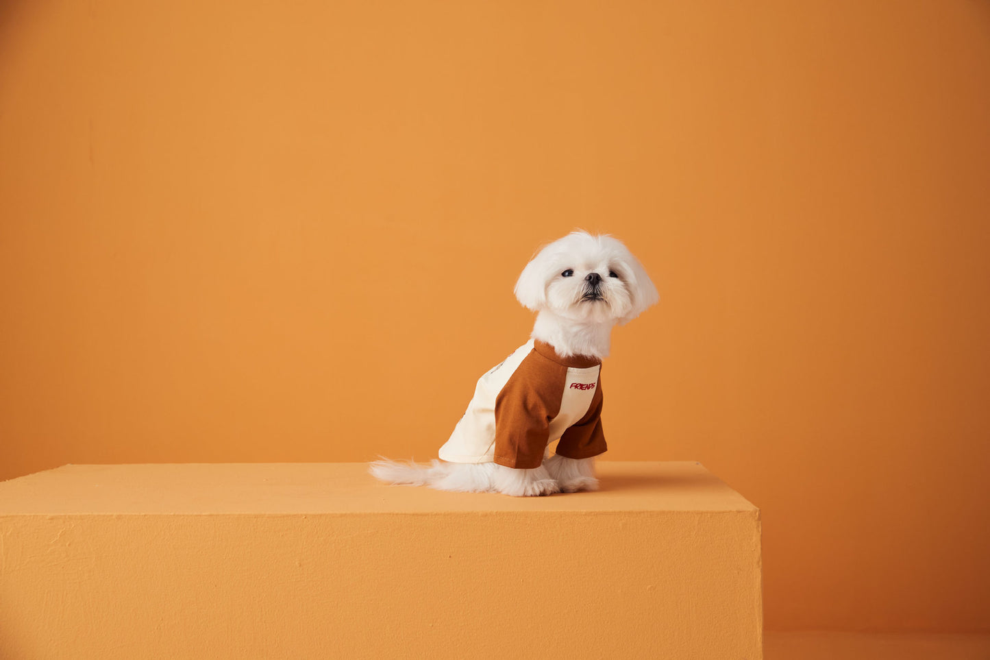 Animal Patent Embroider T-Shirt