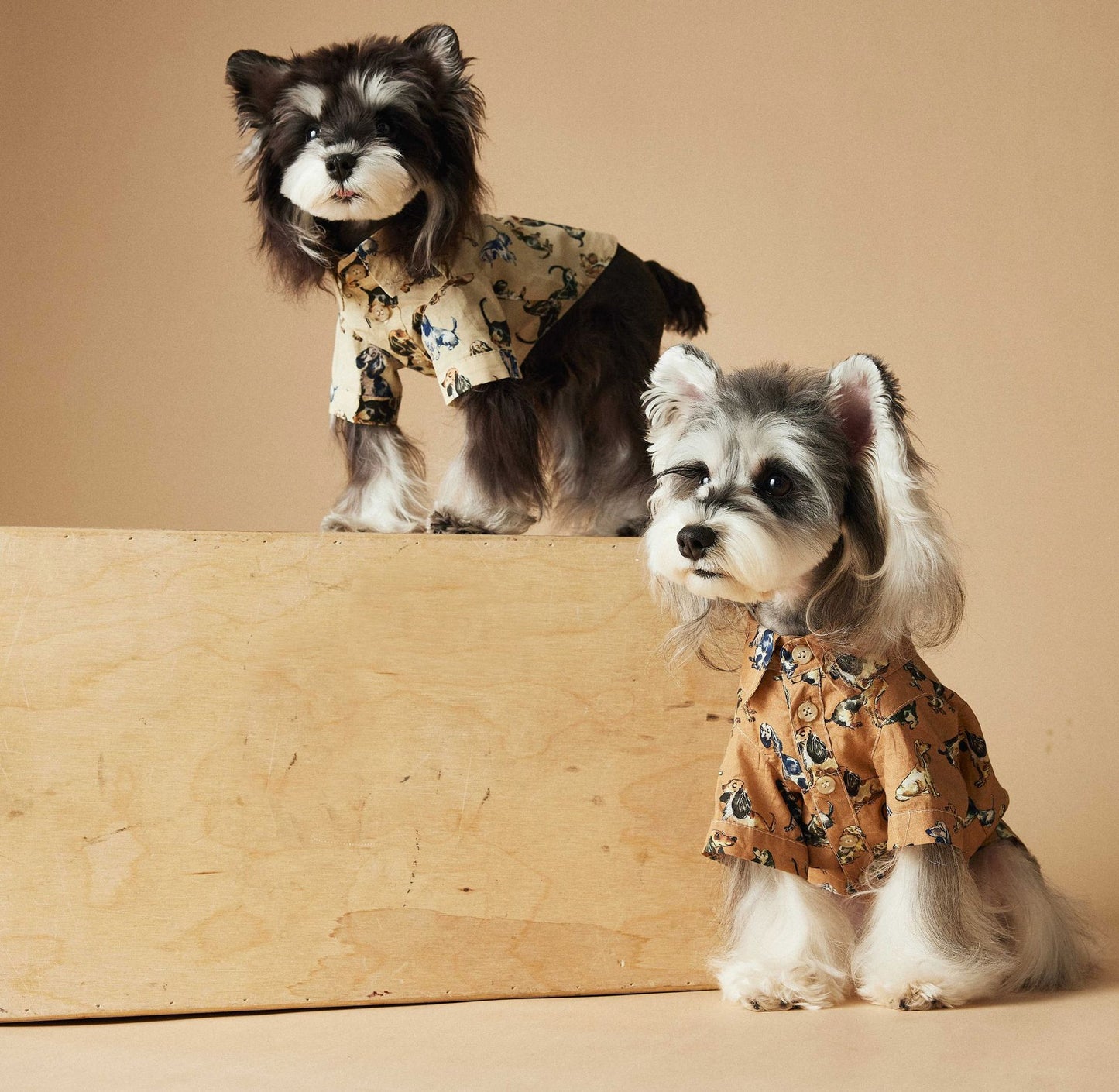 Dress Shirt with Print