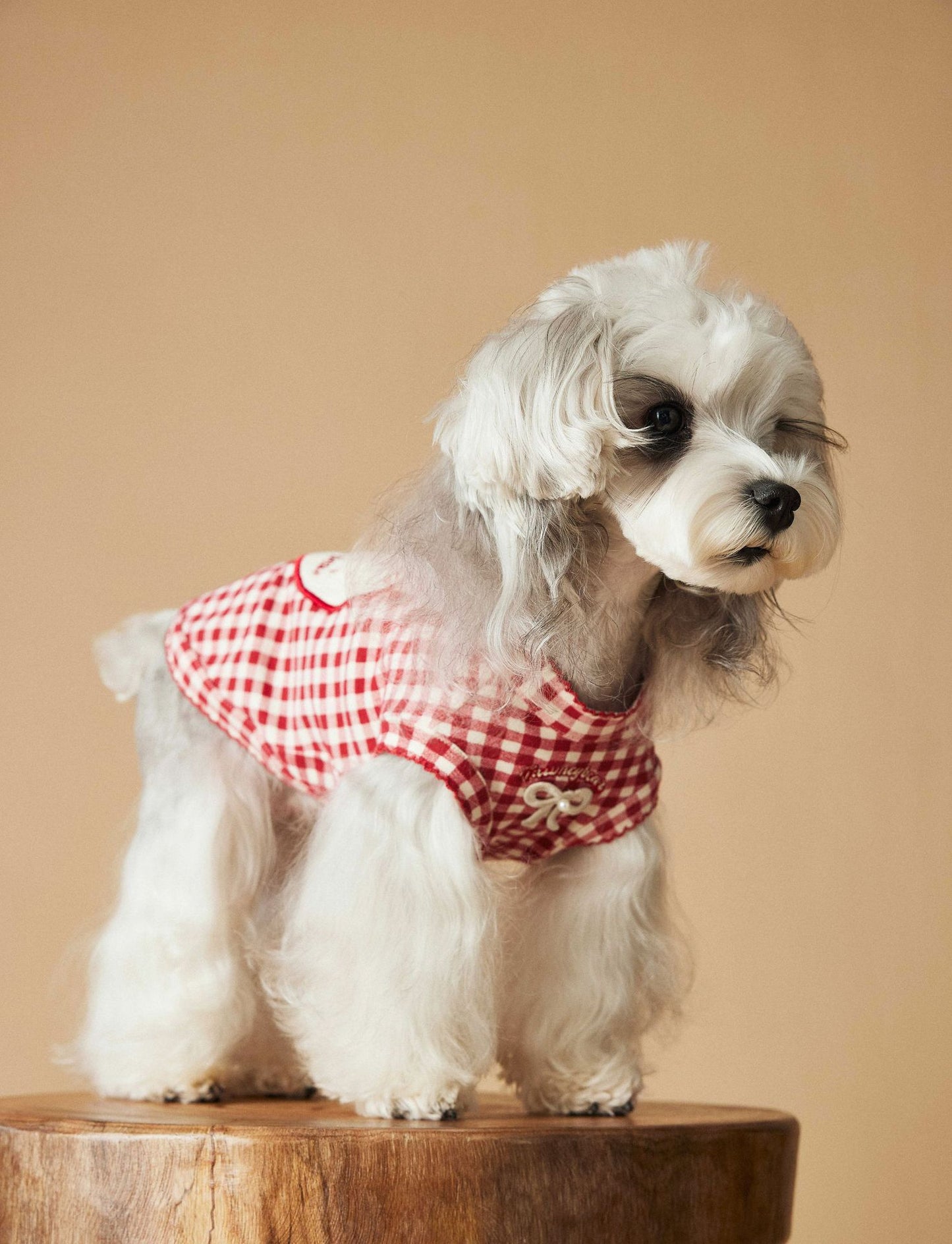 Red Gingham Dog Dress with Bow – Cute Checkered Outfit for Small Dogs