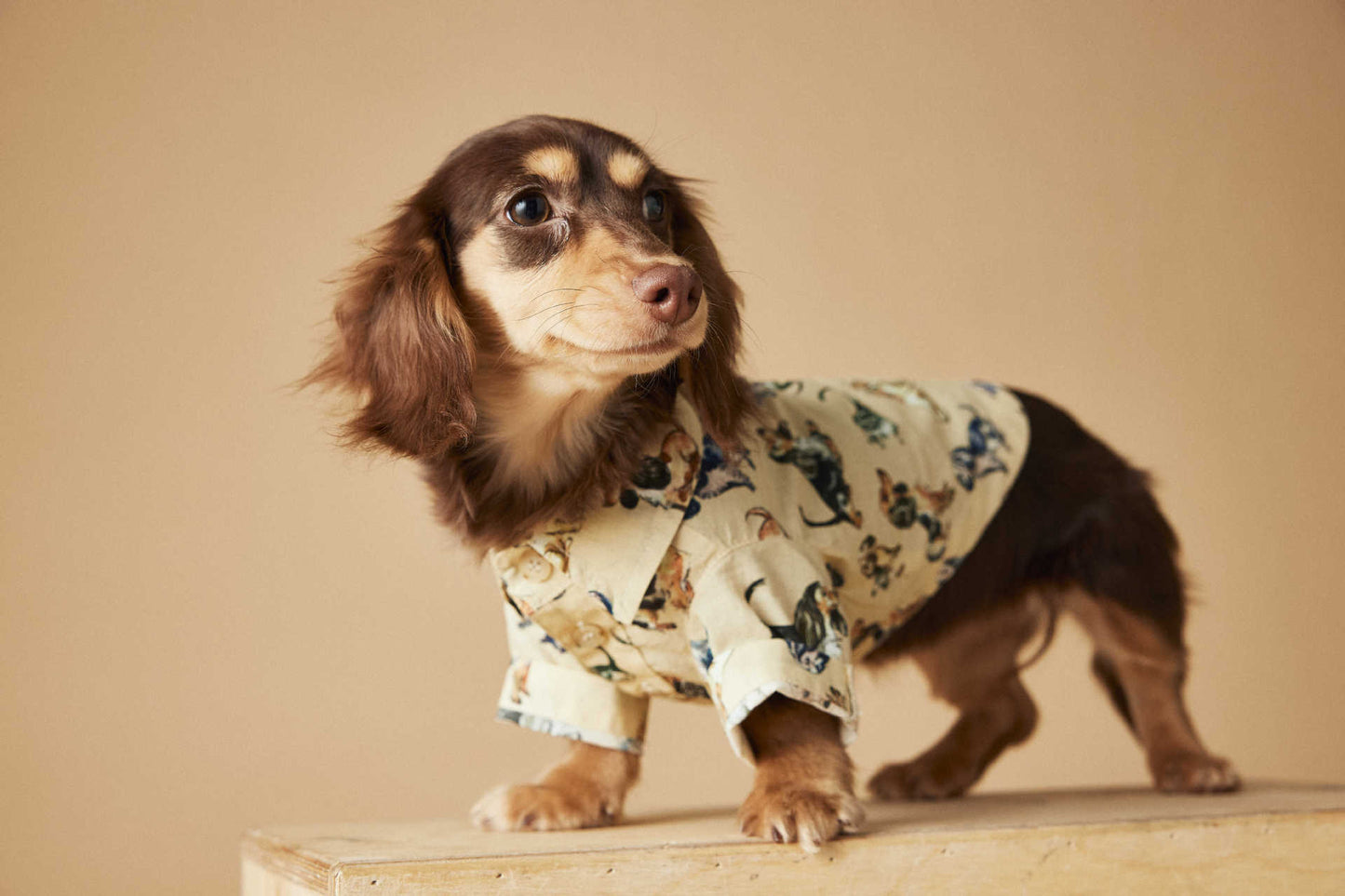 Dress Shirt with Print