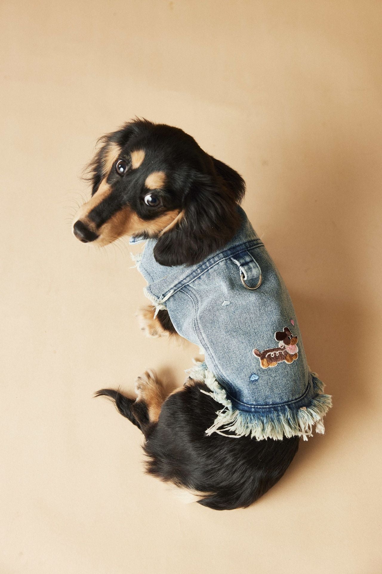 Pet Sleeveless Denim Jacket with D ring