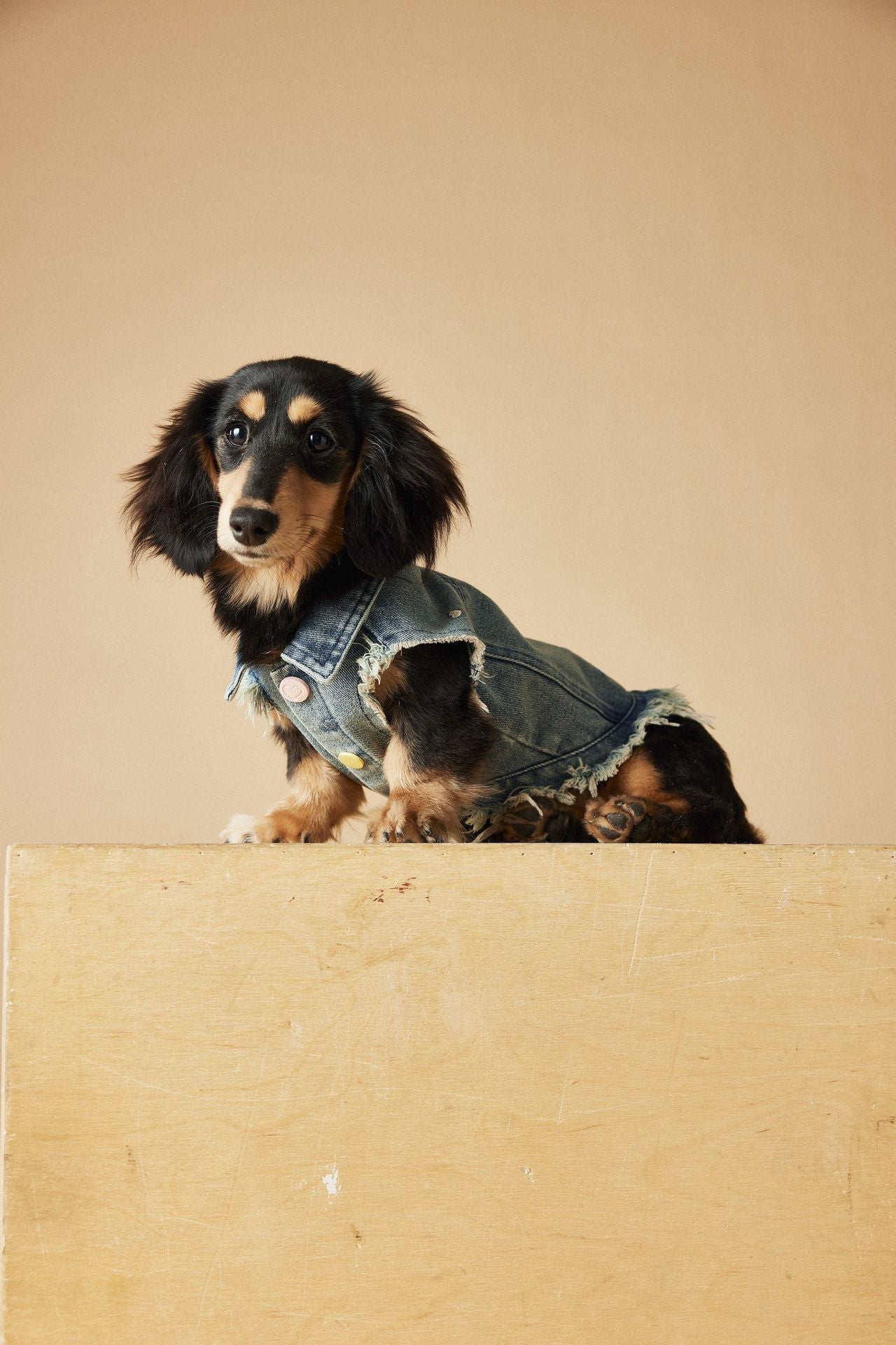 Pet Sleeveless Denim Jacket with D ring