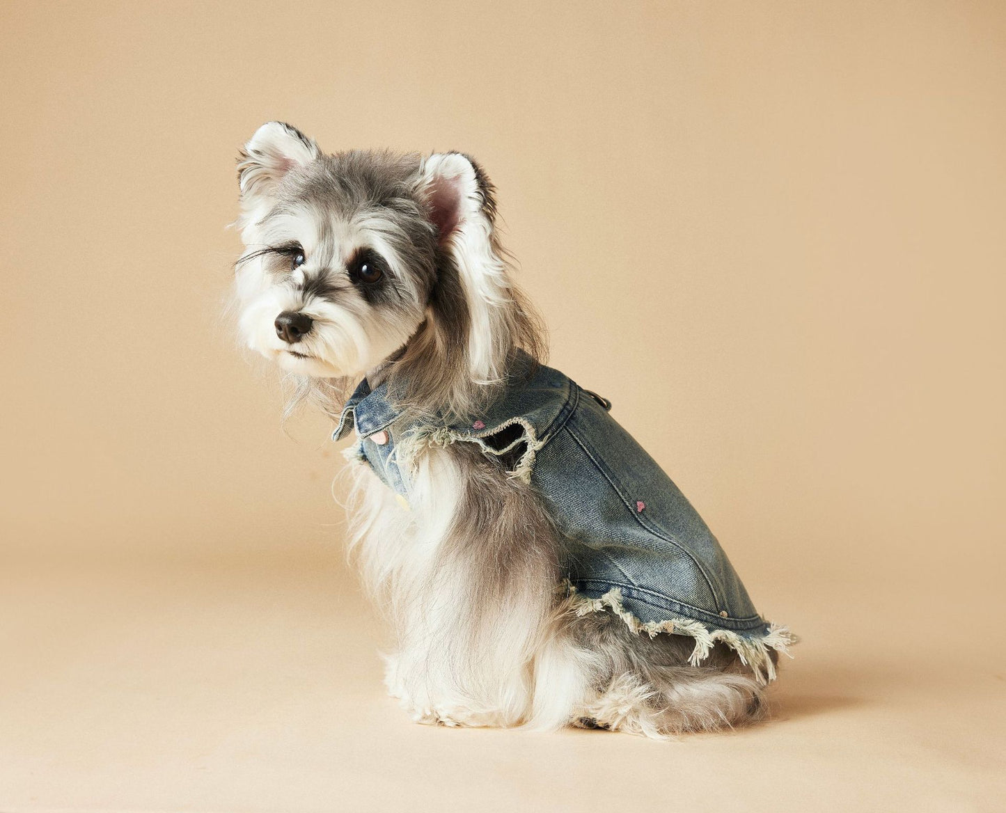 Pet Sleeveless Denim Jacket with D ring