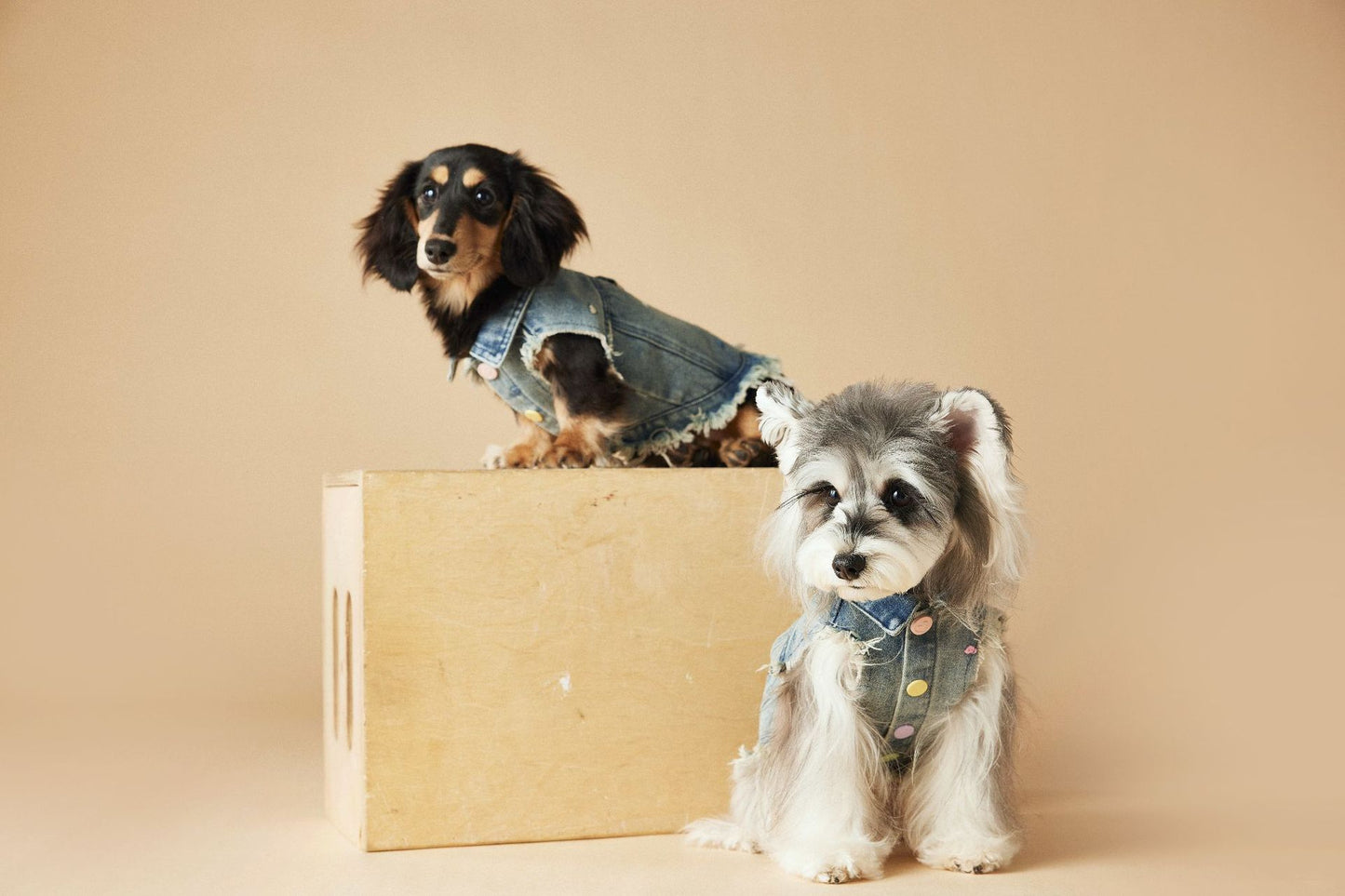 Pet Sleeveless Denim Jacket with D ring