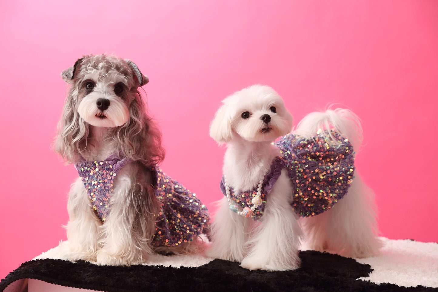 Fancy Sequins Dress