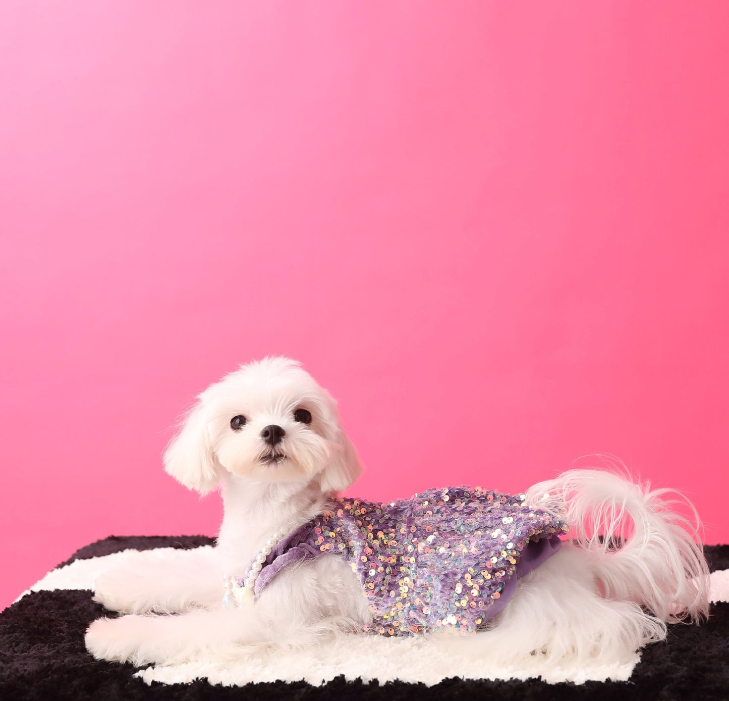 Fancy Sequins Dress