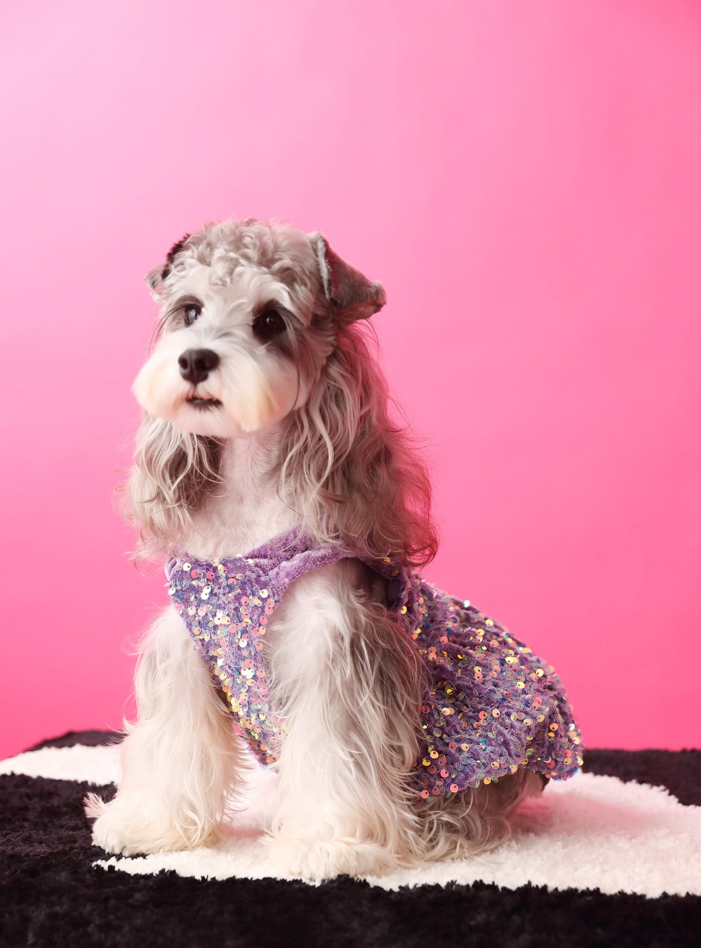 Fancy Sequins Dress
