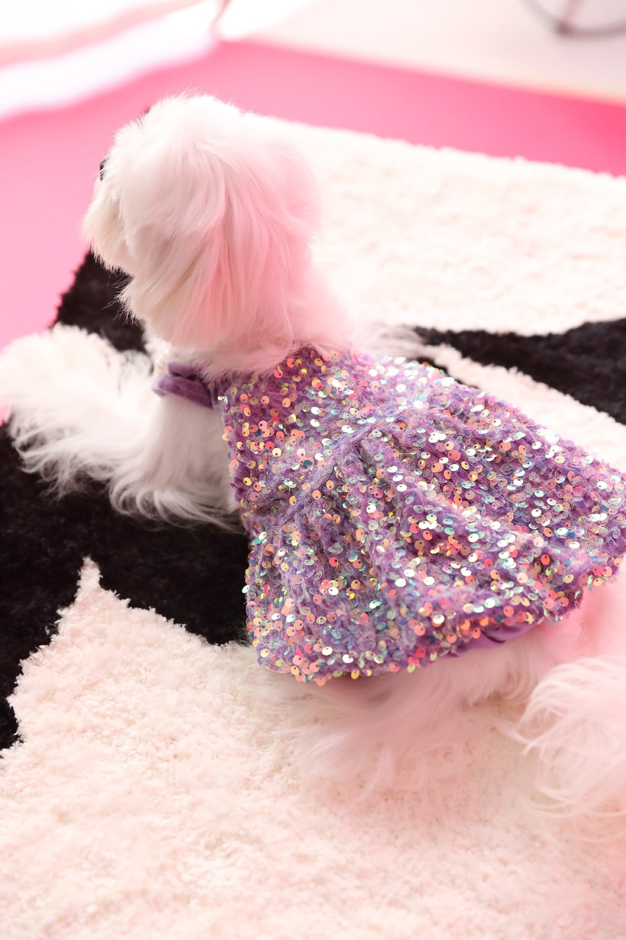 Fancy Sequins Dress