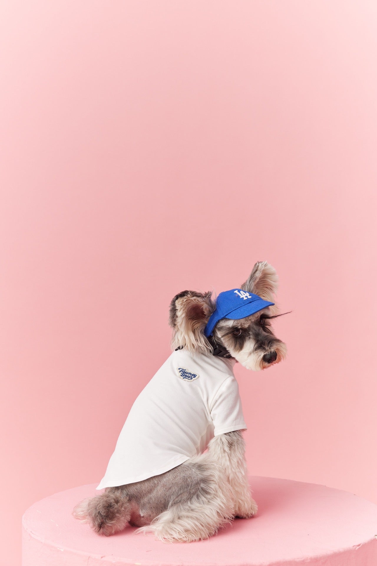 Basic T-Shirt
