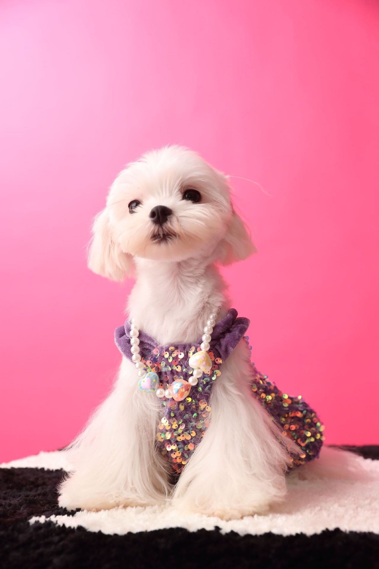 Fancy Sequins Dress