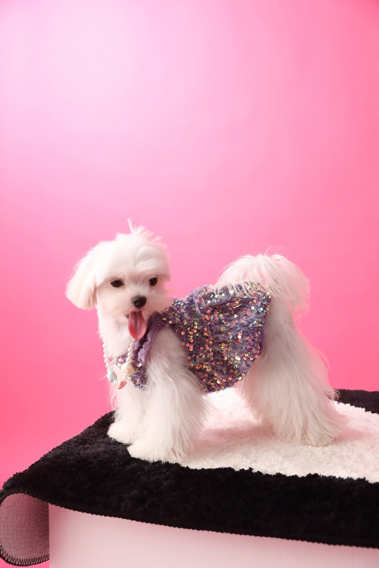 Fancy Sequins Dress