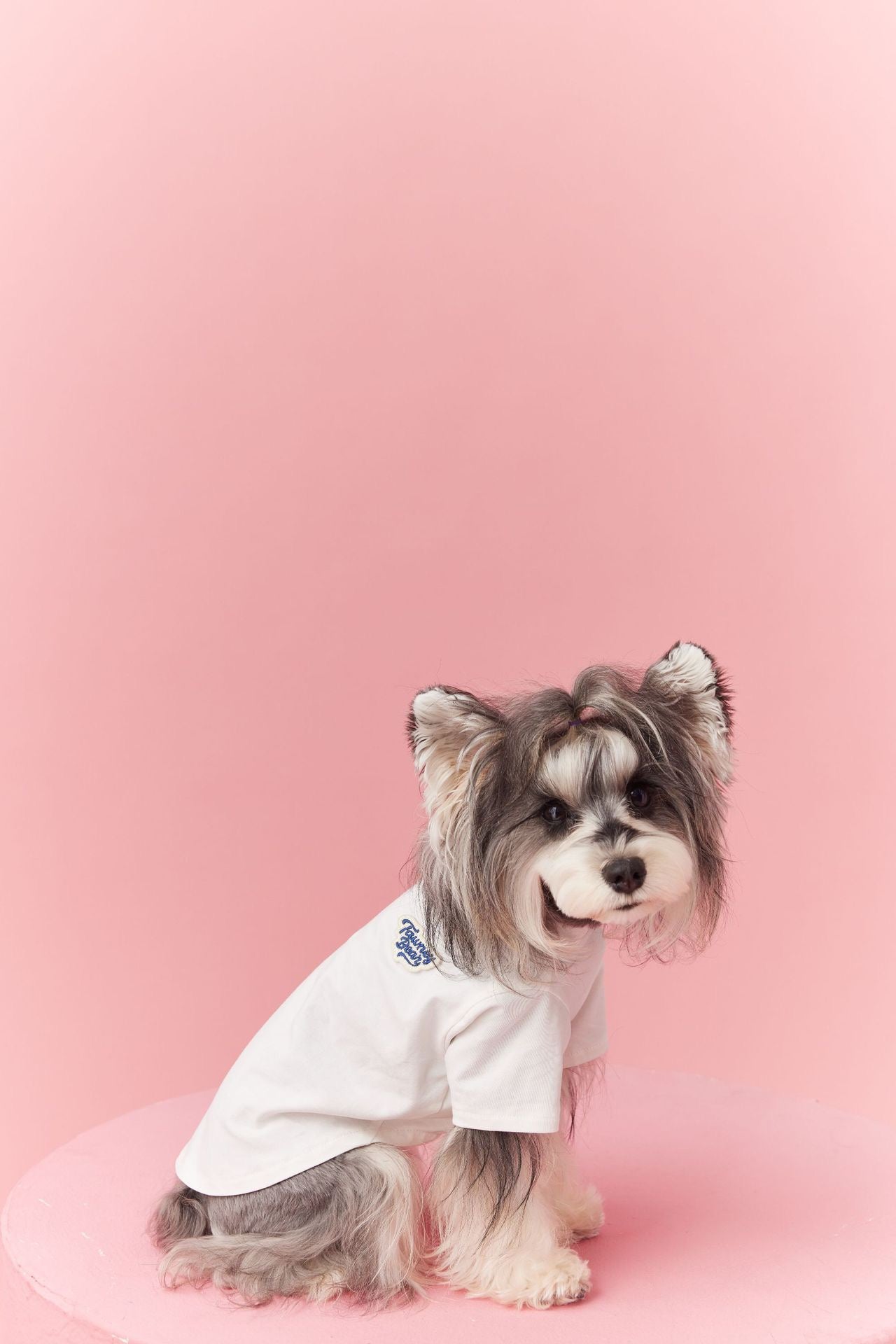 Basic T-Shirt