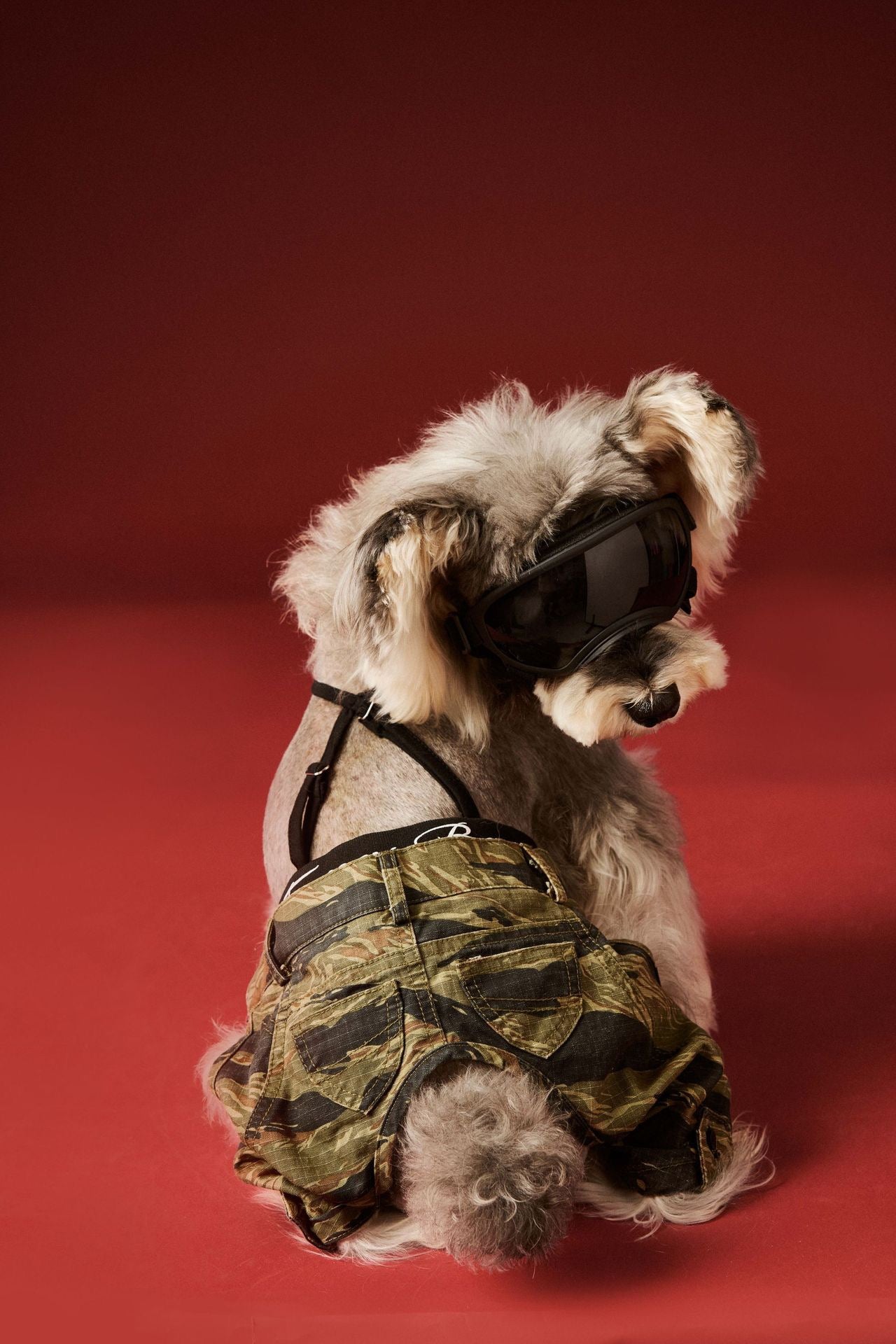 Camouflage Overall
