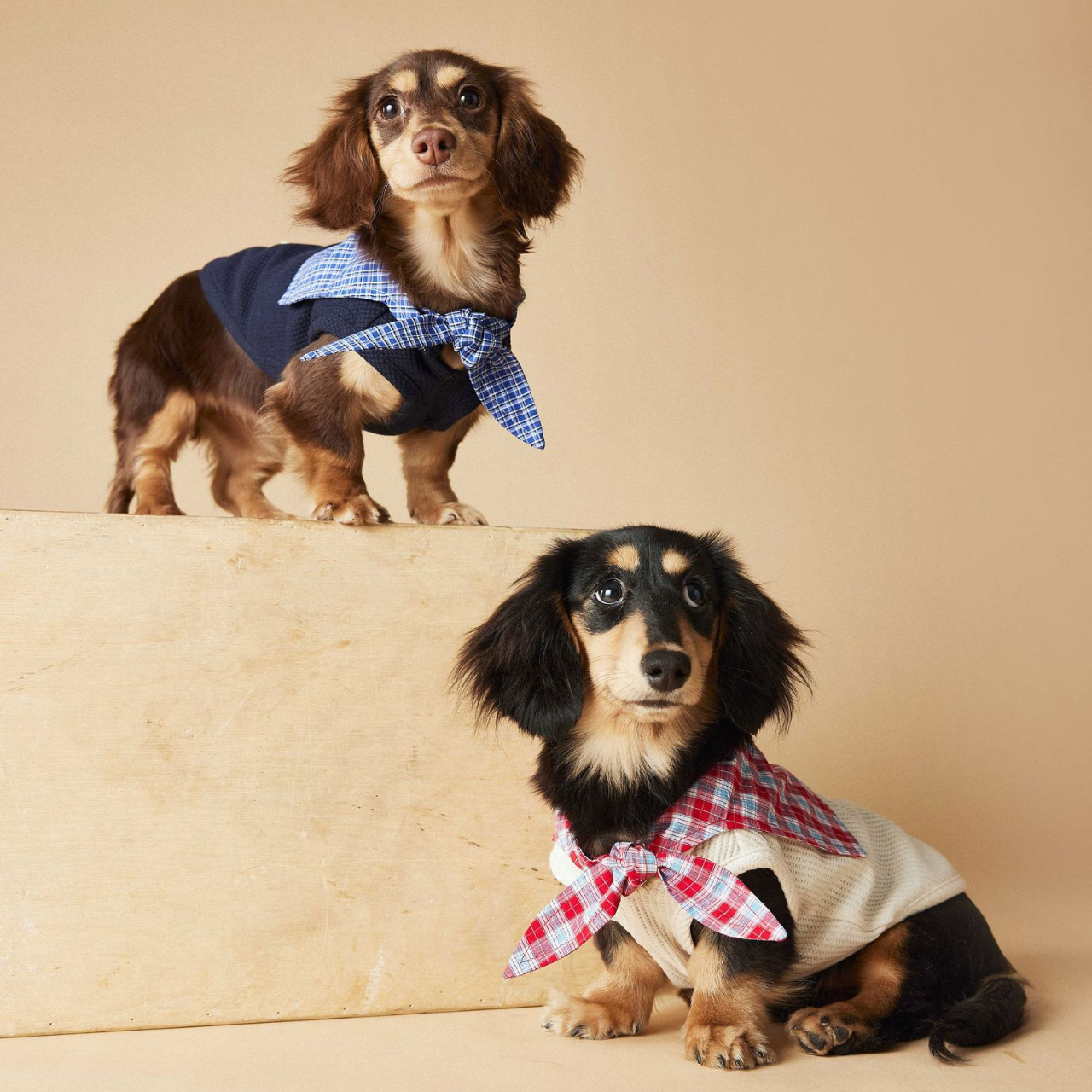 Knitted Dog Clothes with Plaid Sailor Collar – Soft, Breathable & Stretchy Dog T Shirt, Comfy Pet Outfit for Small and Medium Dogs