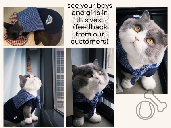 Knitted Dog Clothes with Plaid Sailor Collar – Soft, Breathable & Stretchy Dog T Shirt, Comfy Pet Outfit for Small and Medium Dogs