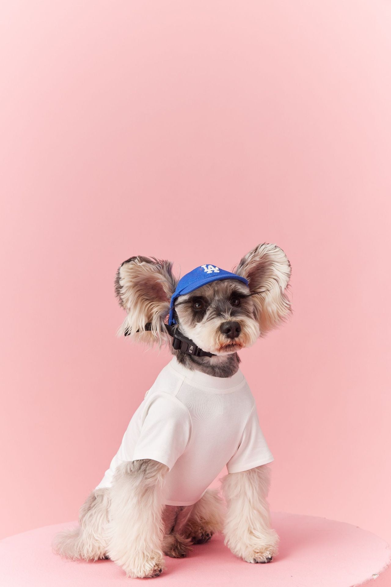 Basic T-Shirt