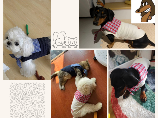 Knitted Dog Clothes with Plaid Sailor Collar – Soft, Breathable & Stretchy Dog T Shirt, Comfy Pet Outfit for Small and Medium Dogs