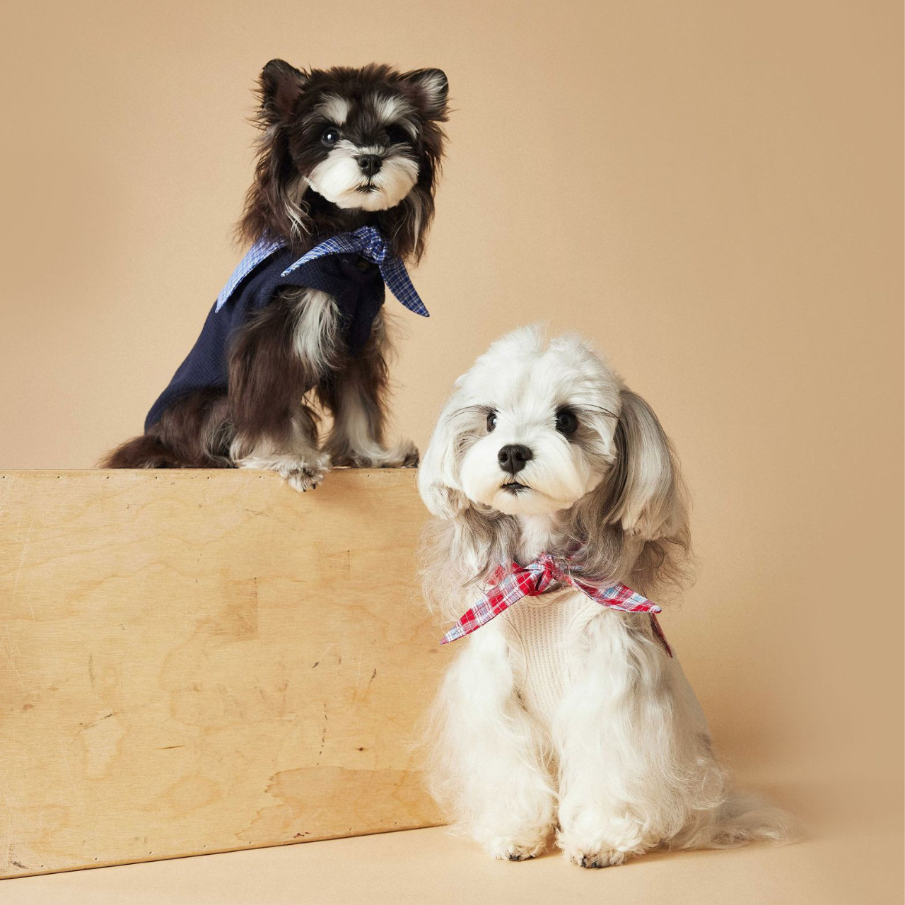 Knitted Dog Clothes with Plaid Sailor Collar – Soft, Breathable & Stretchy Dog T Shirt, Comfy Pet Outfit for Small and Medium Dogs