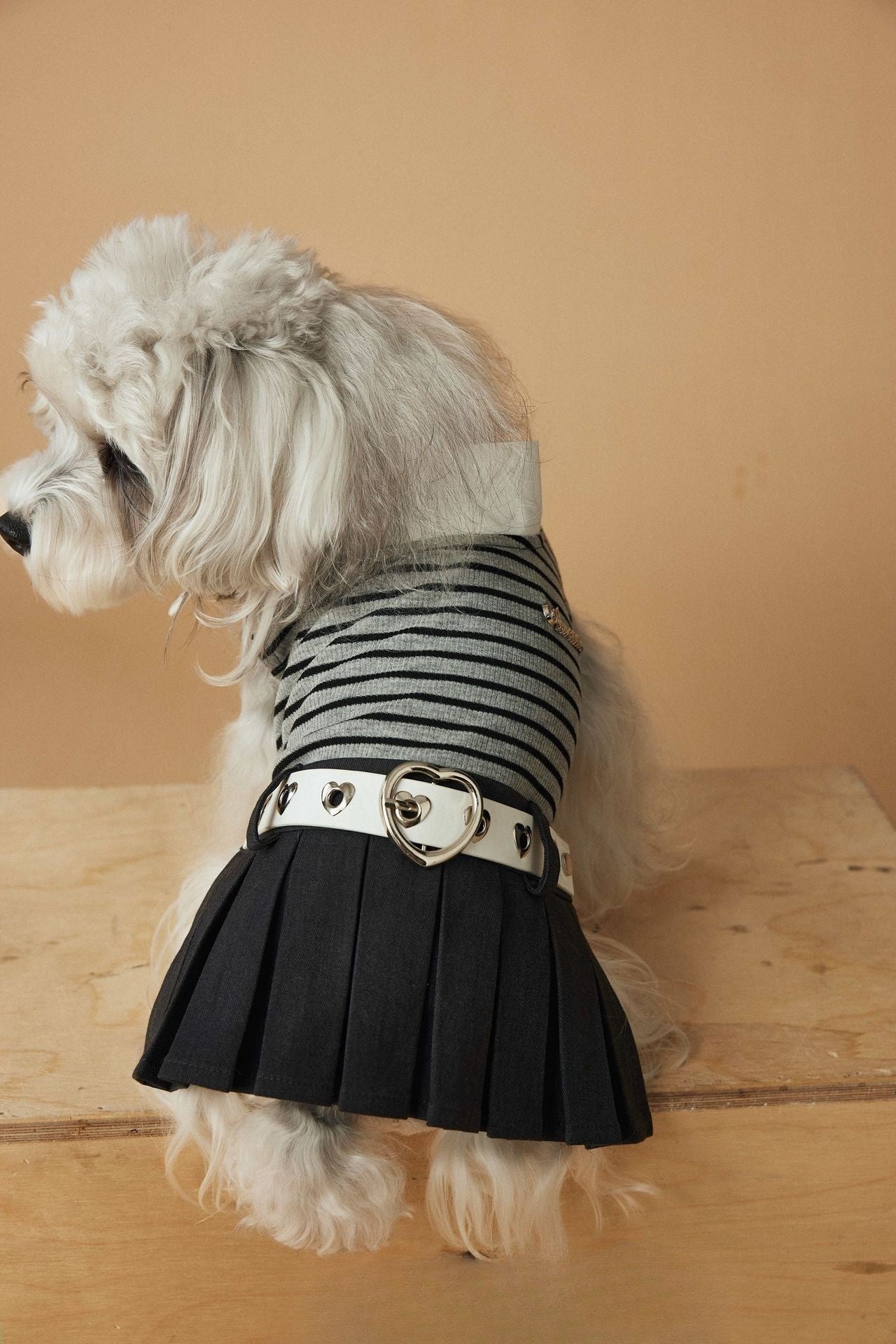 One Piece Fashion Sripe Pleated Skirt with Belt