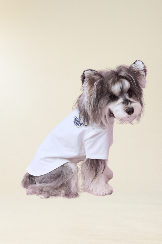 Basic T-Shirt
