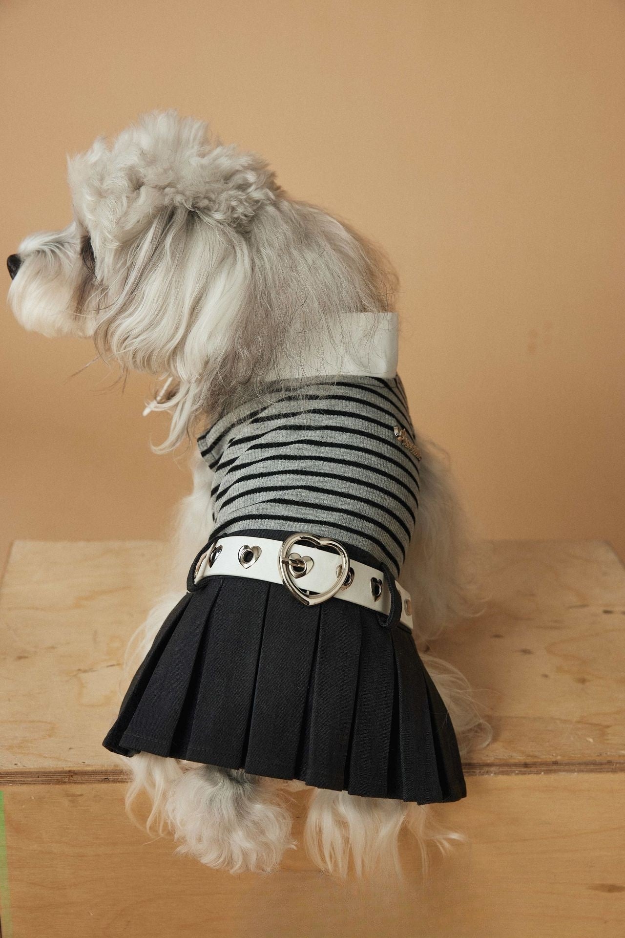 One Piece Fashion Sripe Pleated Skirt with Belt