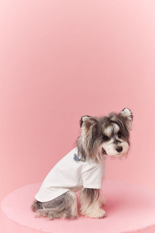 Basic T-Shirt