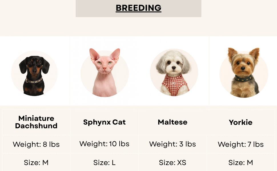 Knitted Dog Clothes with Plaid Sailor Collar – Soft, Breathable & Stretchy Dog T Shirt, Comfy Pet Outfit for Small and Medium Dogs