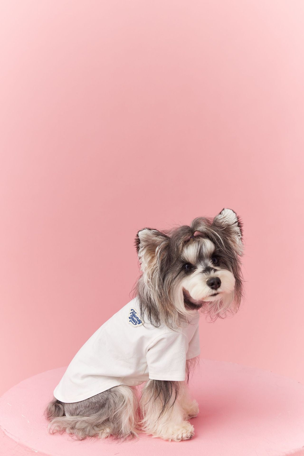 Basic T-Shirt