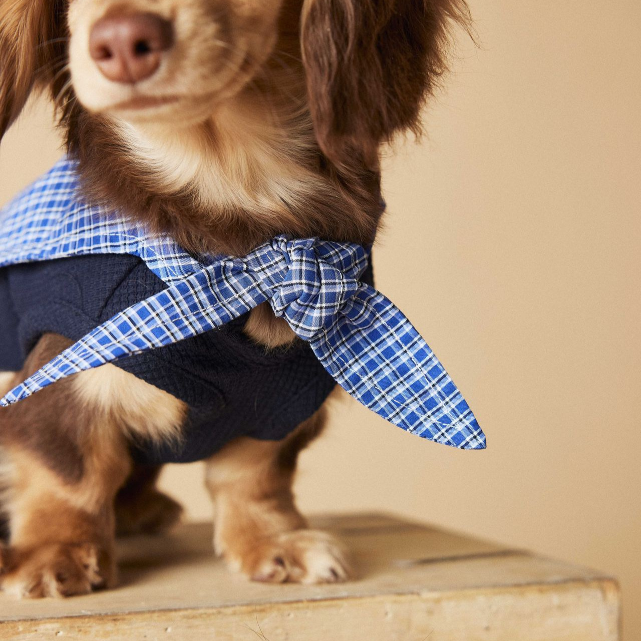 Knitted Dog Clothes with Plaid Sailor Collar – Soft, Breathable & Stretchy Dog T Shirt, Comfy Pet Outfit for Small and Medium Dogs