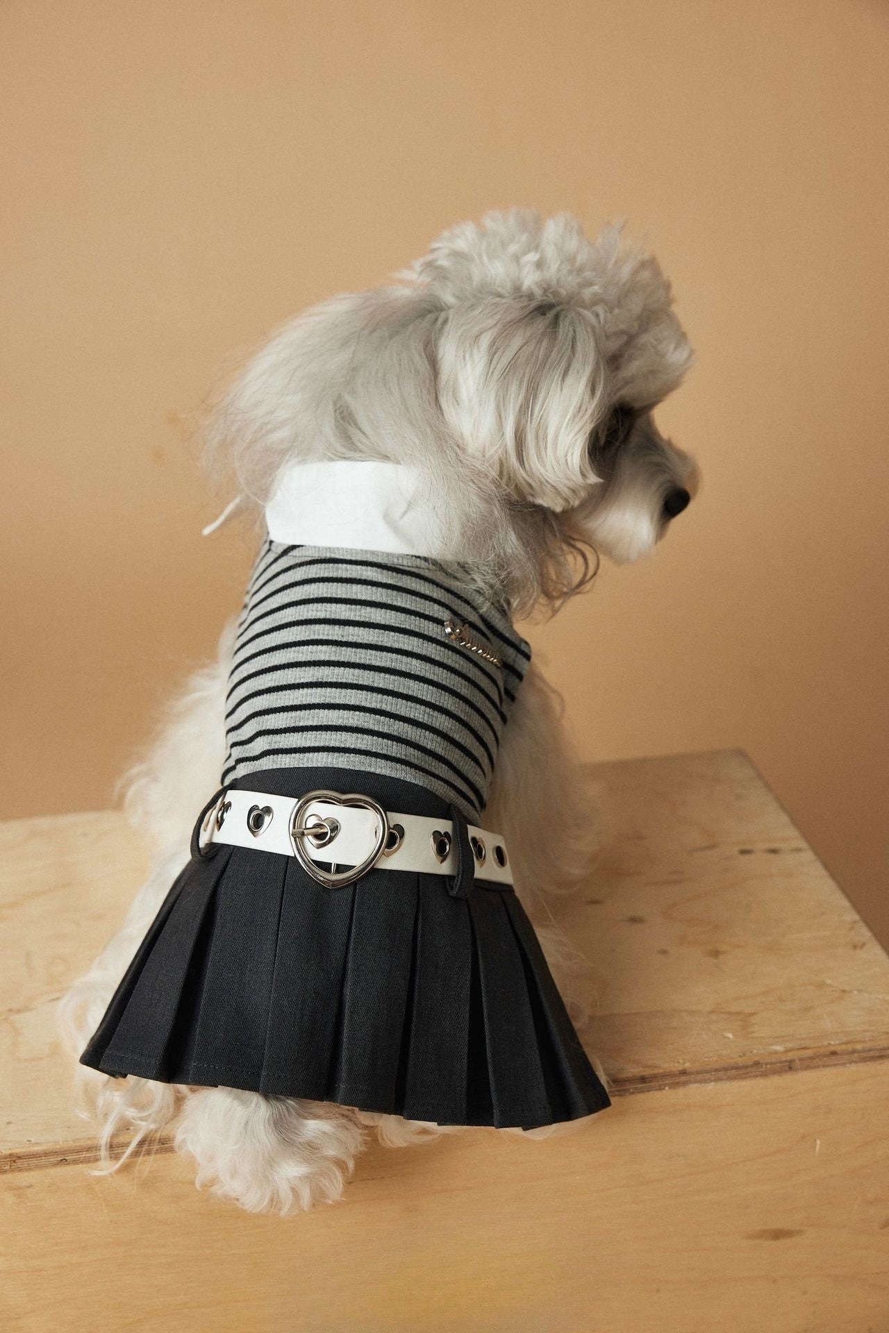 One Piece Fashion Sripe Pleated Skirt with Belt