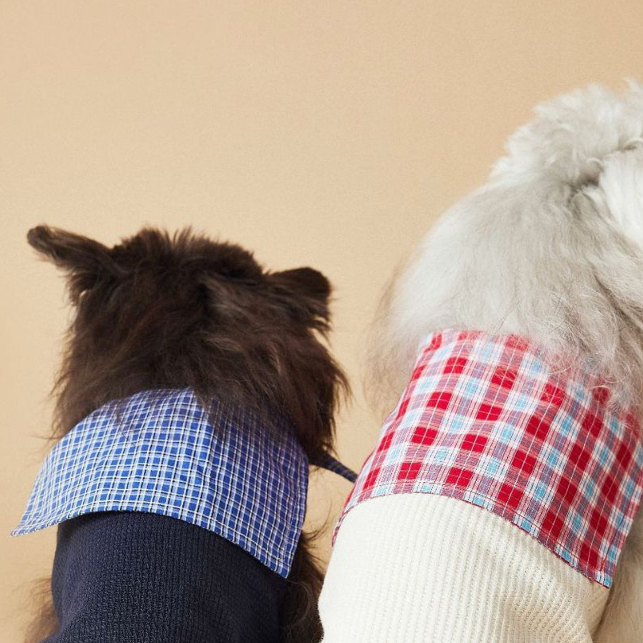 Knitted Dog Clothes with Plaid Sailor Collar – Soft, Breathable & Stretchy Dog T Shirt, Comfy Pet Outfit for Small and Medium Dogs