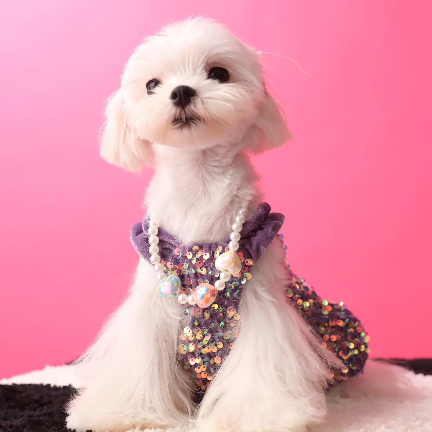 Fancy Sequins Dress