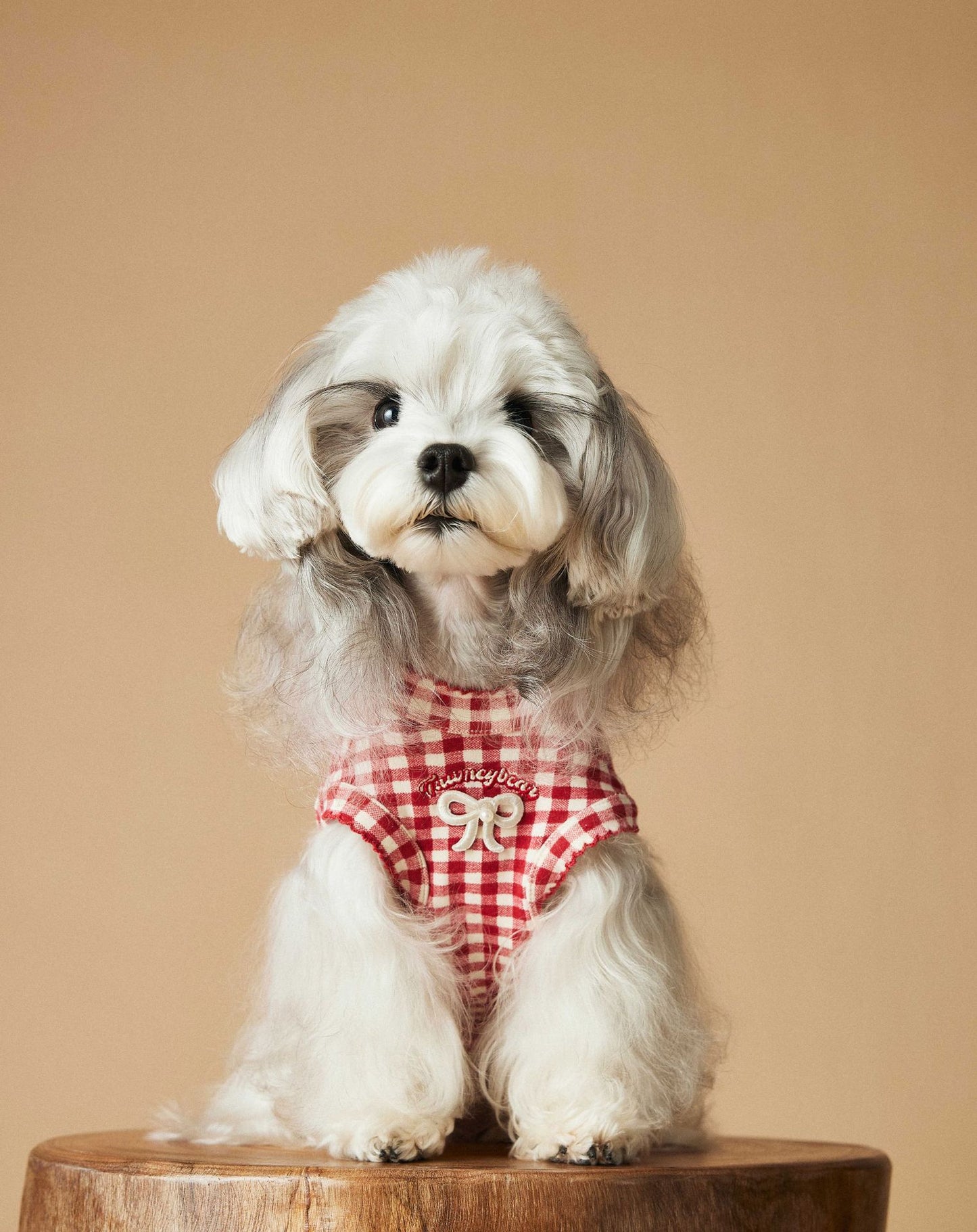 Red Gingham Dog Dress with Bow – Cute Checkered Outfit for Small Dogs