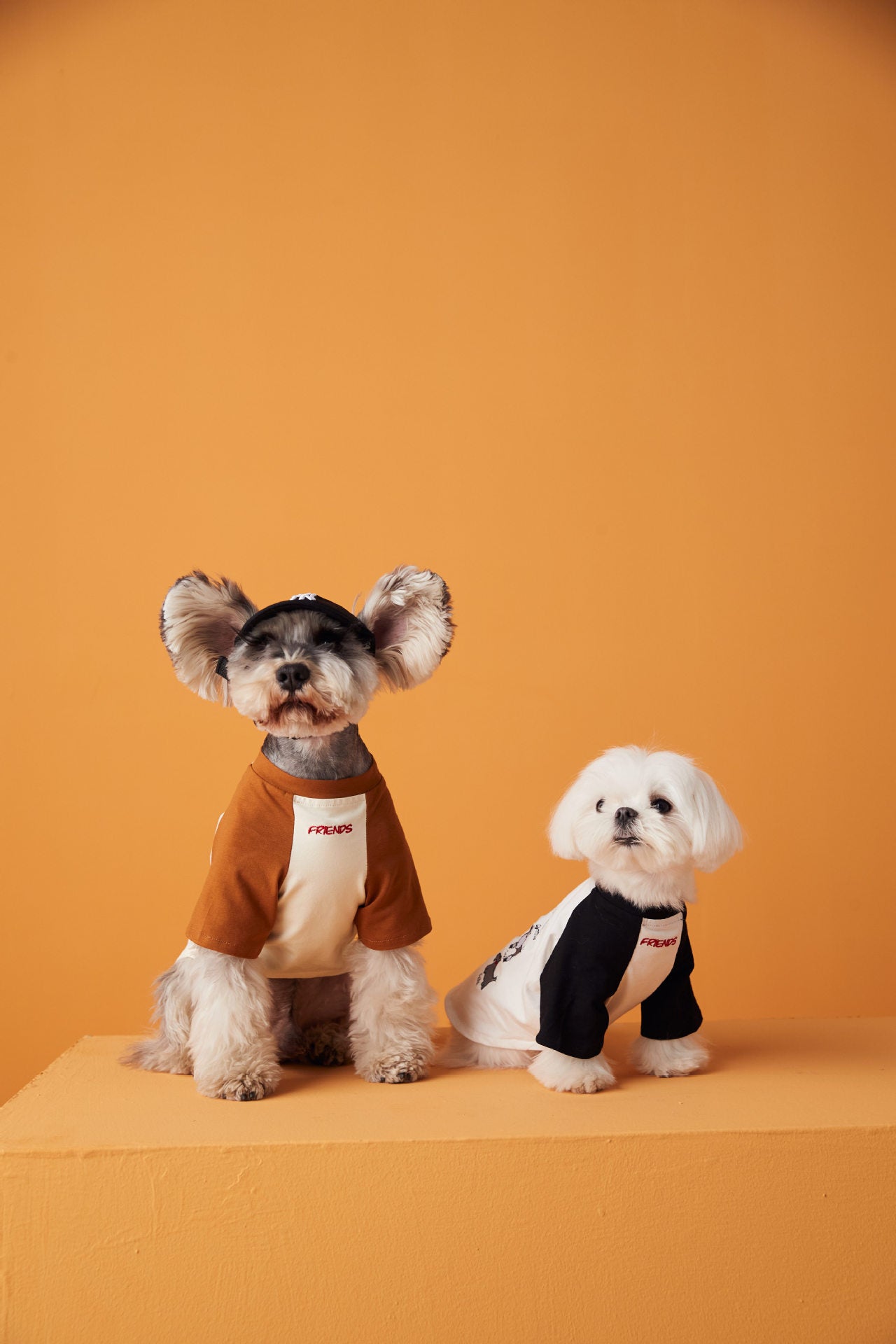 Animal Patent Embroider T-Shirt