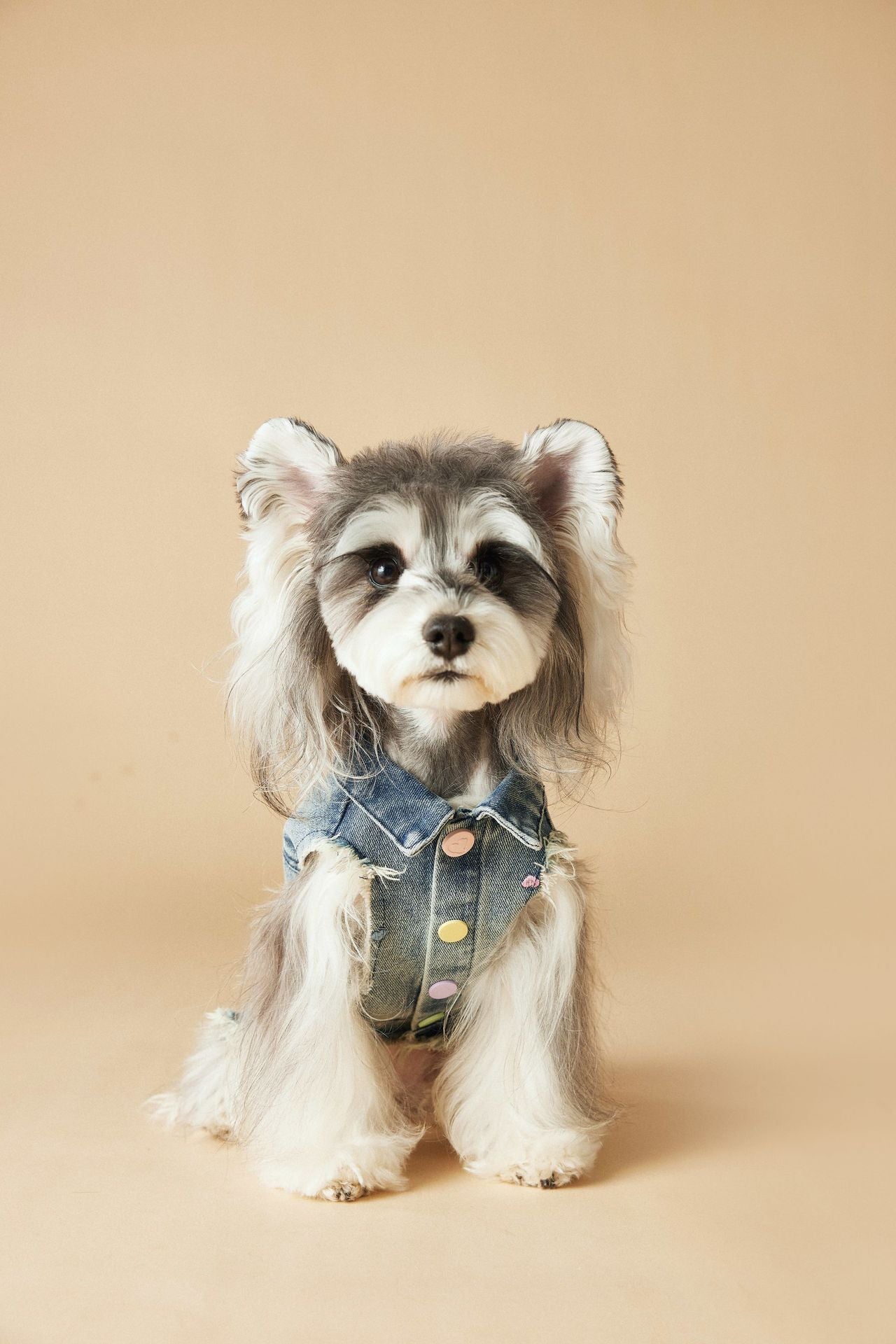 Pet Sleeveless Denim Jacket with D ring
